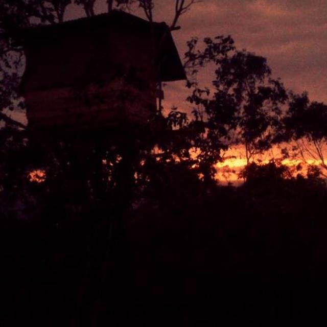 Rumah Pohon Batununggul Esterno foto
